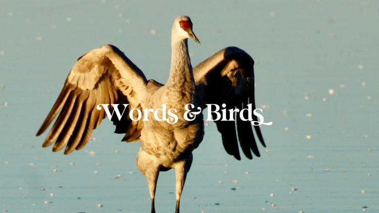 Cover reveal and holiday books