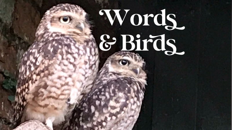 Neither Here Nor There